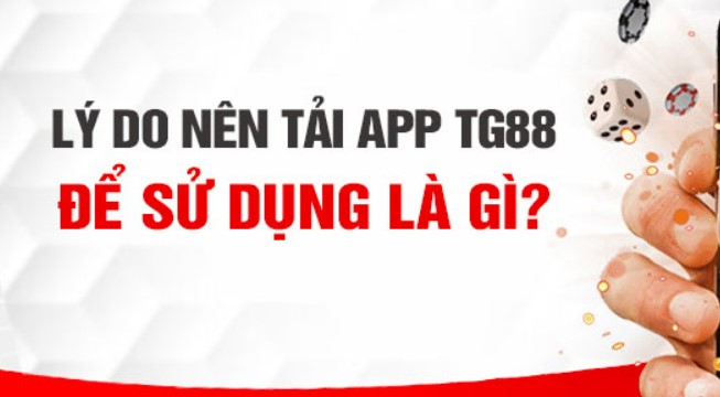 Giới thiệu về nhà cái Tg88